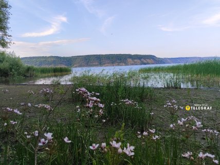 Отдых на Днестре в Хмельницкой области