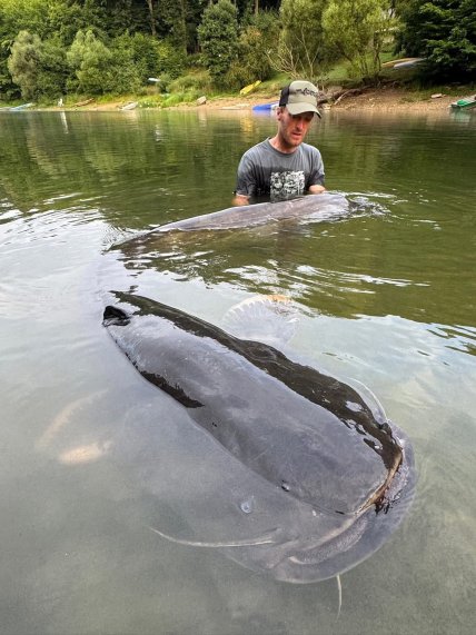 Рыбалка и его улов-сом в Чехии