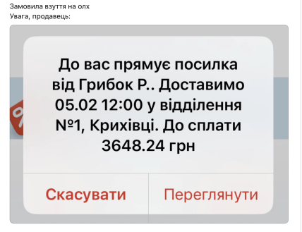 Сообщение о фамилии Грибок