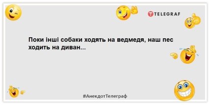 анекдот про собаку