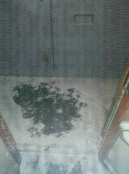 Вагони УЗ в поїзді з Одеси