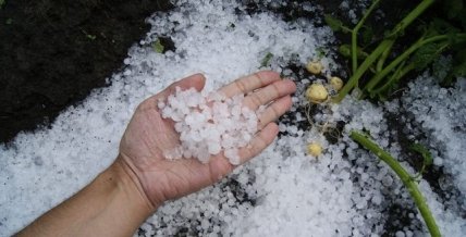 Град в руке