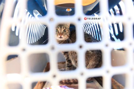 Центр в Запорожье для внутренне перемещенных лиц