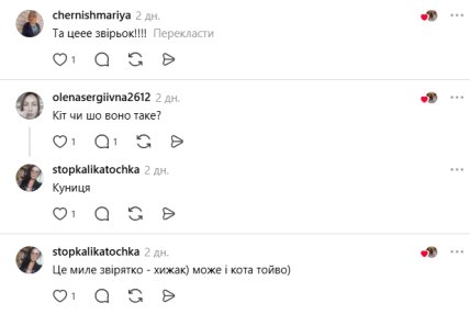 Коментарі користувачів