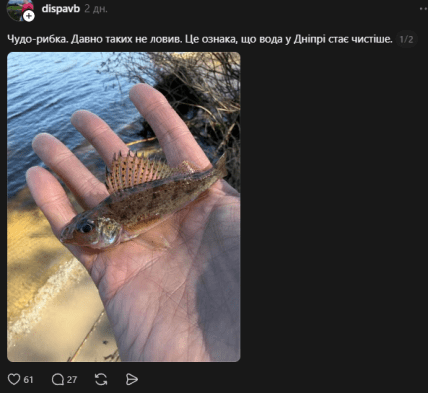 Йорж у Дніпрі