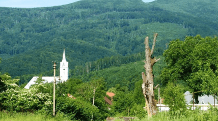 На Закарпатье есть село Негрово