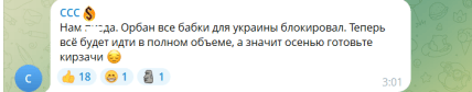 "Програли" Європу українцям: у росіян істерика через поразку Орбана