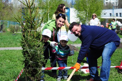 Сохрани жизнь елке – подари детям парк! - изображение №3