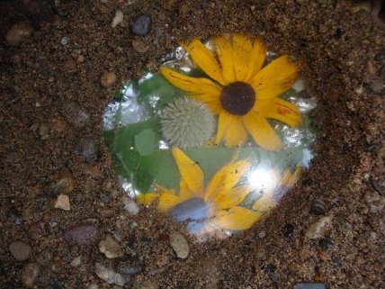 Семейные выходные: 10 идей занимательного досуга - изображение №8