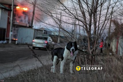 Наслідки атаки Росії на Бровари 14.03.2026