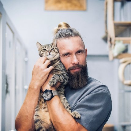 алексей суровцев кот