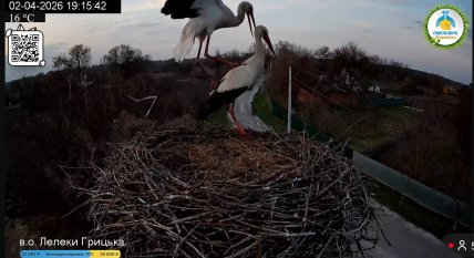 Перші лелечі піраміди