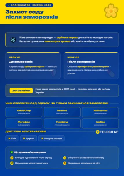 Чим обробити сад після морозів навесні