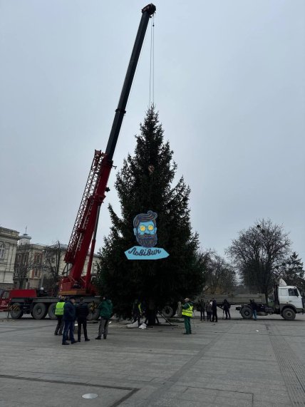 У Львові встановили головну ялинку: як її вибрали та що буде на святковому декорі