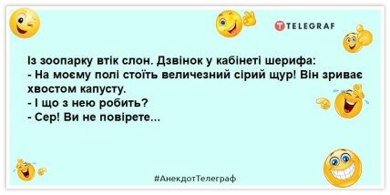 анекдот про слона