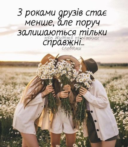 день дружбы картинки