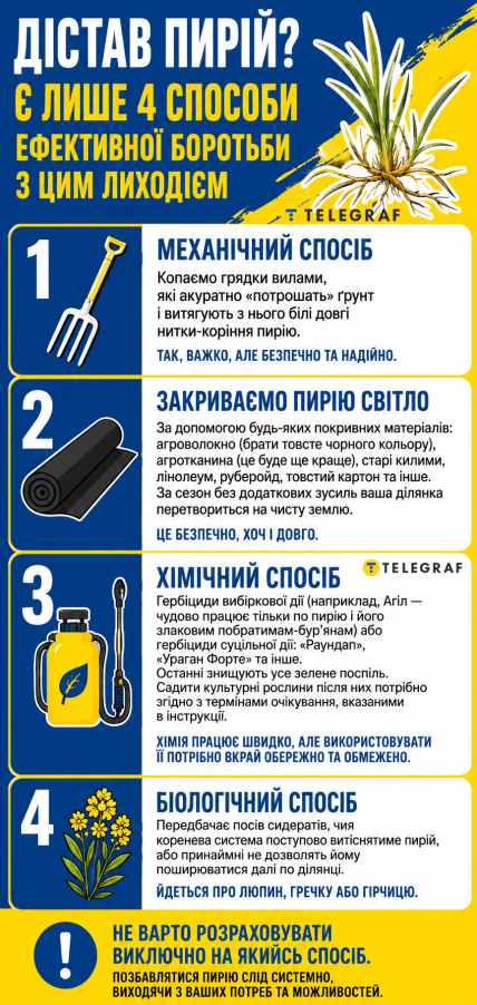 Как уничтожить пырей на огороде | Инструкция подготовлена ​​с помощью ИИ