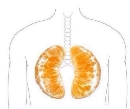 Мем о мандаринах