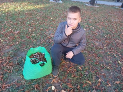 Де в Україні здають каштани