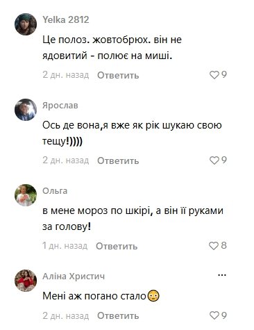 В мережі визначили, що на відео полоз жовточеревий