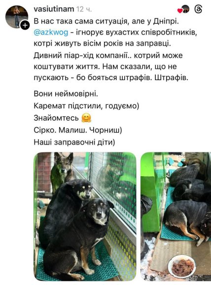 Сообщения о собаках на АЗК WOG