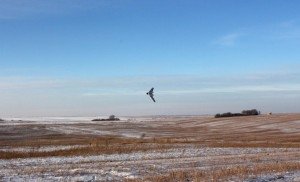 Военные испытали новый разведывательный комплекс