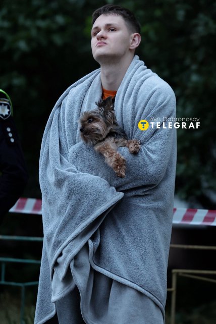 Собака после обстрела