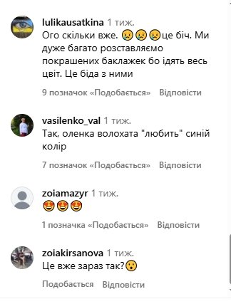 Коментарі користувачів