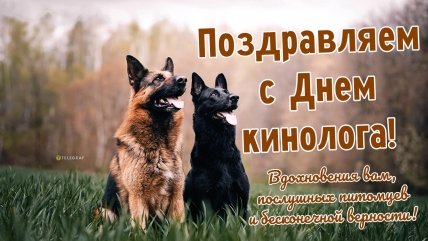 открытка поздравляем с днем кинолога 2 апреля