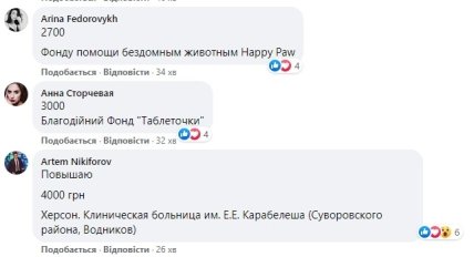 Христина Тишкун виставила сукню на аукціон 2