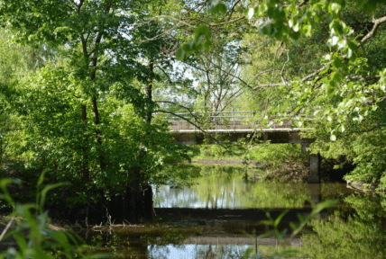 Село Кукуріки