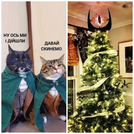 коты и елка мемы