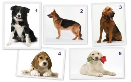 5 вещей, которые ты должна знать сегодня - 8 октября - изображение №2