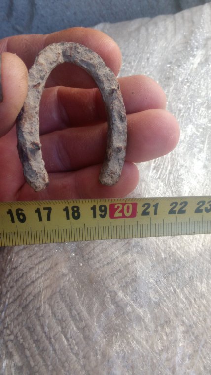 Знайшли дуже маленьку підкову