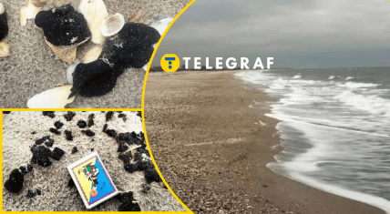 Тузлівські лимани