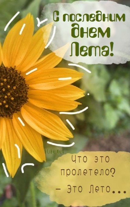 Поздравления с последним днем лета 2022