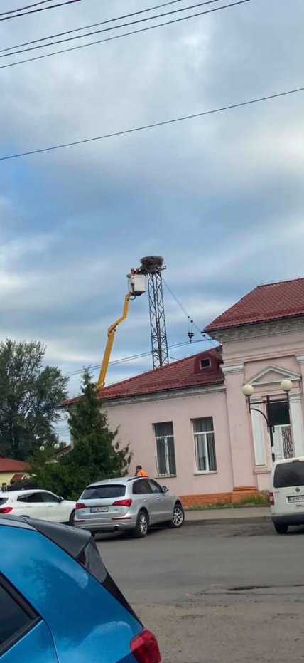 Гнездо уничтожили за один день