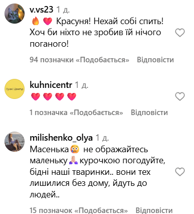 Лиса спала в Кривом Роге — комментарии