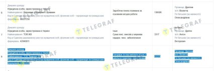 Фрагмент декларации Виолетты Дрепиной — скриншот