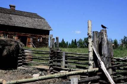 Український центр в Канаді охопила пожежа. Подробиці, фото та відео