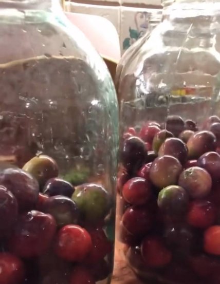 Как хранить фрукты и ягоды