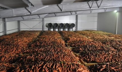 овощехранилище