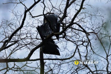 Наслідки атаки дронів на Київ 28 квітня 2026, фото Ян Доброносов