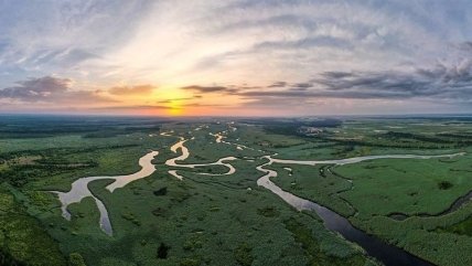Анна Полюх, лицензия CC BY-SA 4.0