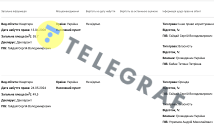 Сергей Гайдай, декларация