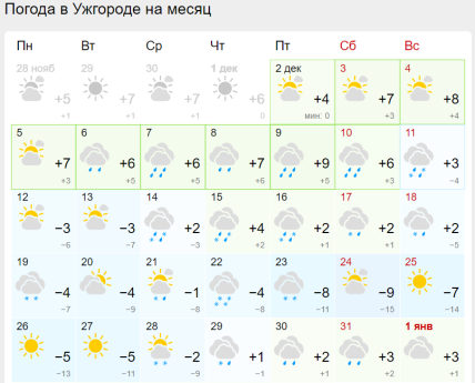 Ужгород, дощ, погода, Новий рік