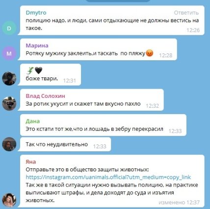 Комментарий в соцсетях про крокодила