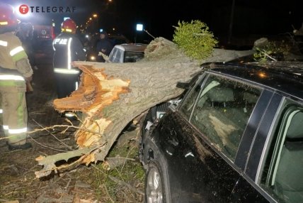 Дерево упало на машины