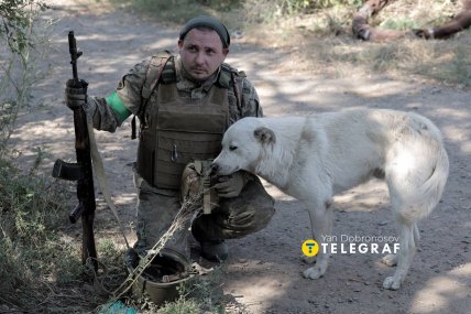 Військовий з собакою у Дружківці. Фото: Ян Доброносов "Телеграф"