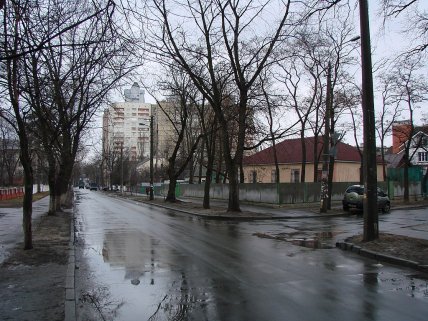 Як виглядає вулиця Юрія Литвинського у Києві